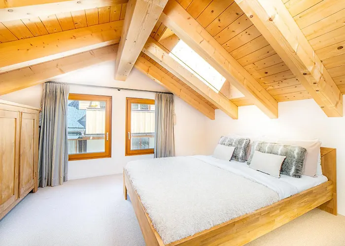 Sonnegg Penthouse 公寓 *