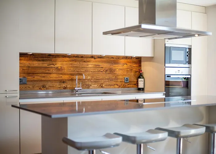 Sonnegg Penthouse 公寓 萨斯费