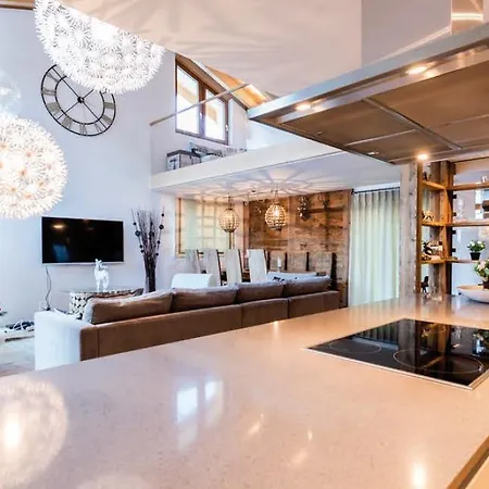 Sonnegg Penthouse *